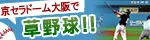 ドーム草野球(固定)